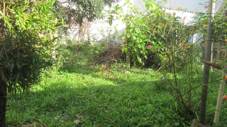 Imagem Terreno para Venda em Concórdia, Centro
