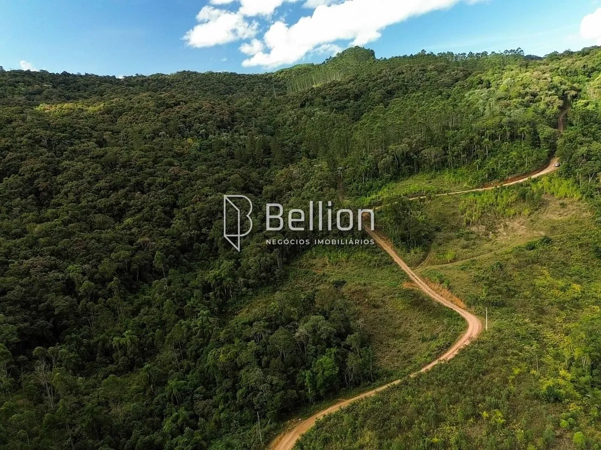 Imagem Mais de 6 hectares para quem pensa no próximo passo, terreno em Ribeirão Coração, Benedito Novo.