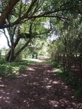 Imagem EXCELENTE!!! Sítio Rural com 5.8 Hectares, Casa e açude, Pimenta Viamão