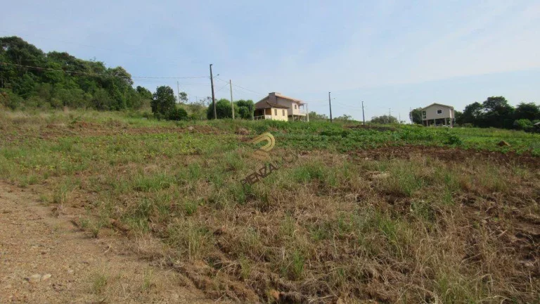 Imagem Terreno para Venda em Concórdia, Rural
