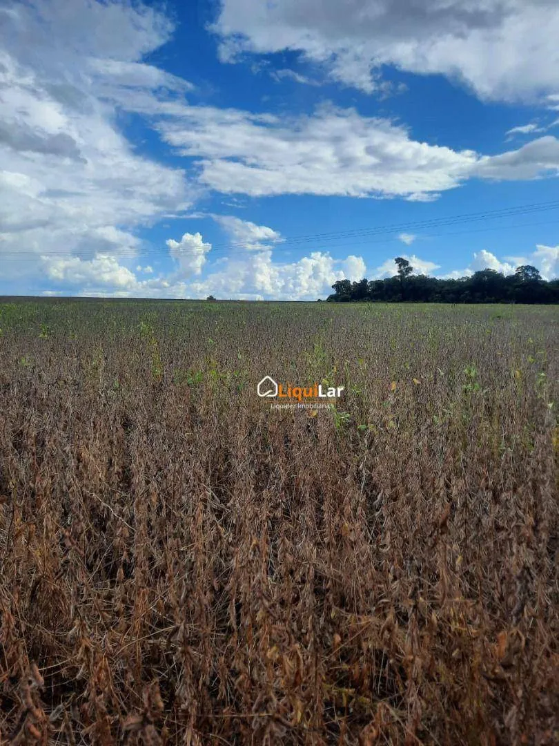Imagem 163 Hectares - Bandeirantes/MS