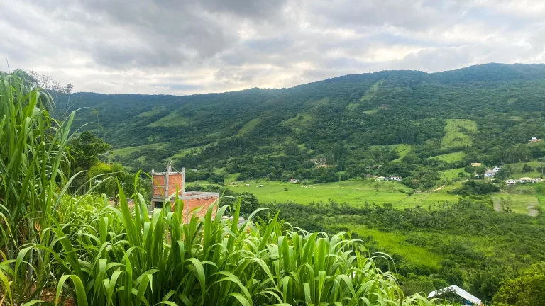 Imagem Oportunidade única: Terreno à venda em Garopaba-SC, Bairro Macacu, 1.000m² de área!