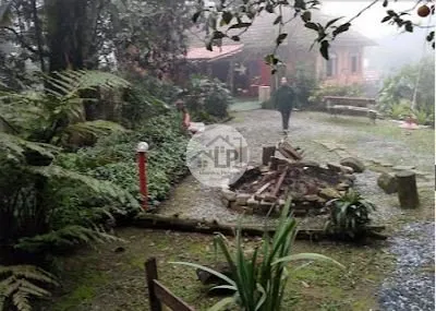 Imagem Hotel / Pousada / Chalé de 9 quartos, no bairro Parque São Vicente, em Petrópolis