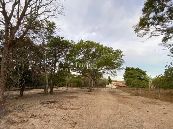 Imagem Fazenda zona Rural São Miguel do Passa Quatro, 175 ha, - GO, 36,1 Alqueires