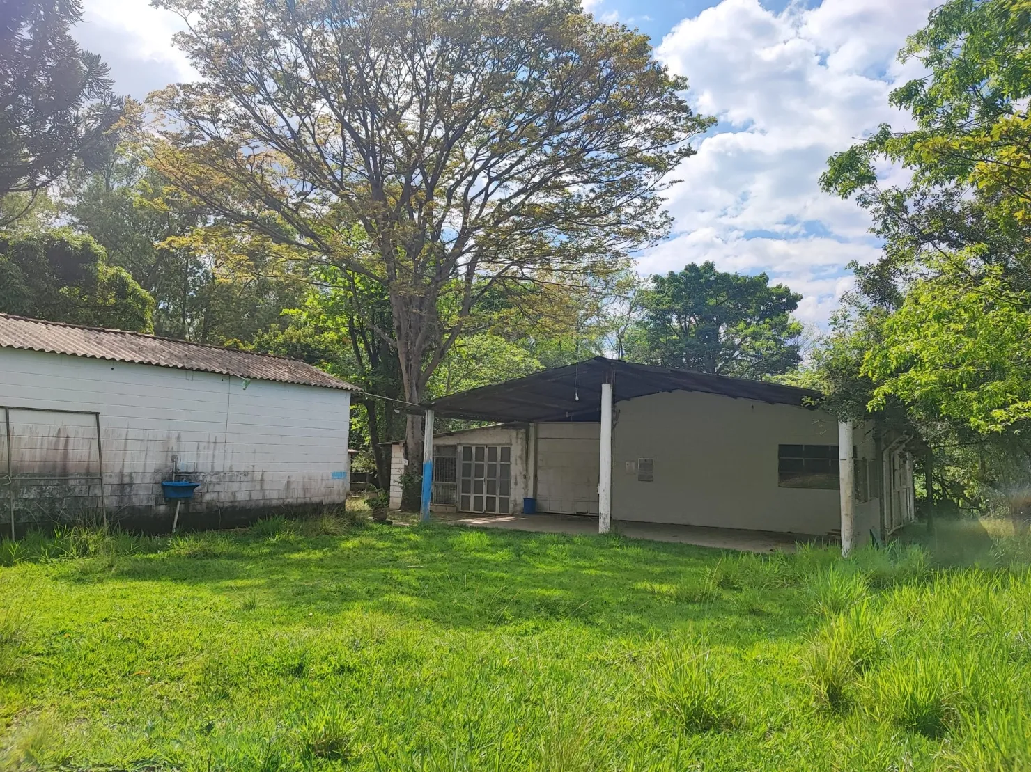 Imagem Chácara à venda 2 Quartos, 37000M², Figueira, Guaratinguetá - SP