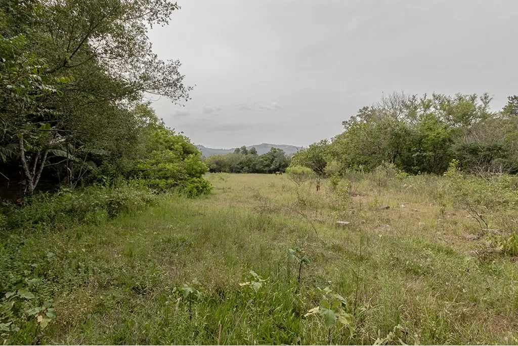 Imagem Terreno em Belém Velho