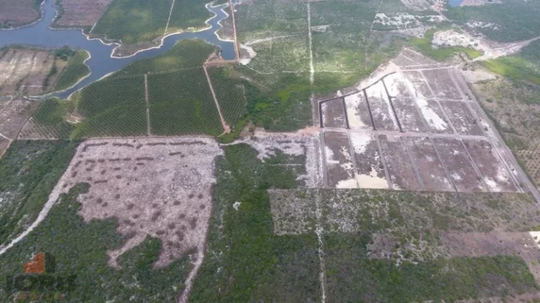 Imagem Terreno a Venda no bairro Loteamento Caminho das Flecheiras - Trairi, CE