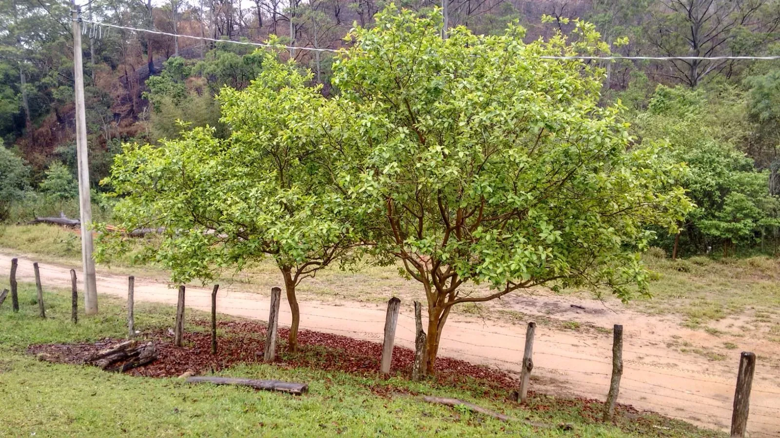 Oportunidade: Sítio com Muito Verde e Água de Nascente em Inhayba, ALUMÍNIO - SP