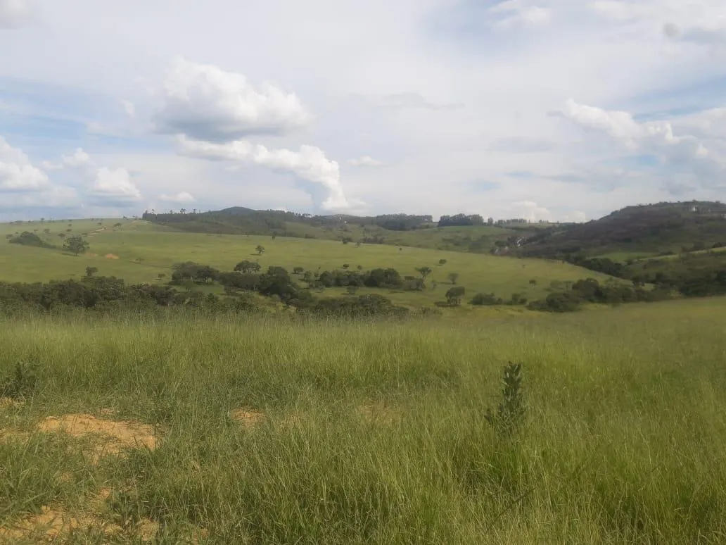 Imagem Vendo uma ótima fazenda em Passatempo 315 hectares