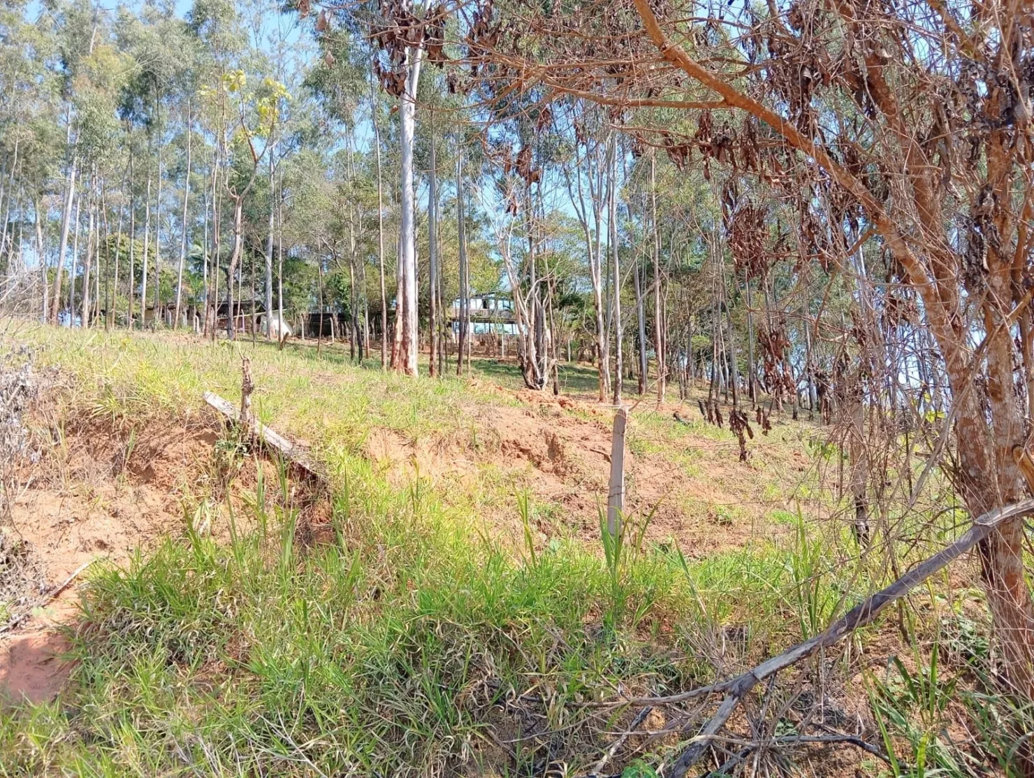 Imagem Terreno com 1.632,00 M2 à venda, Pedreira, Guaratinguetá, SP