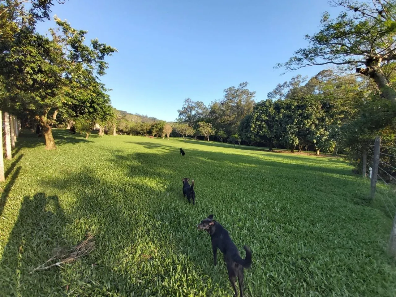 Imagem Terreno no bairro Restinga