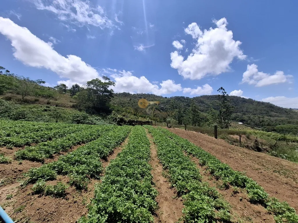 Imagem Terreno para Venda em Teresópolis / RJ no bairro Parque Boa União