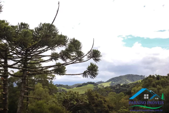 Imagem Refúgio na Mantiqueira: Seu Escape Perfeito em Santo Antônio do Pinhal