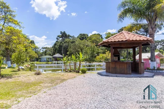 Imagem (PERMUTA) Chácara, com tanque de peixe, de várias espécies, duas casas, próximo ao centro de Contenda PR