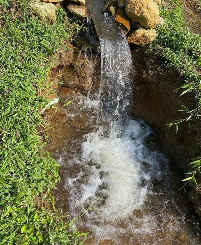Imagem Fazenda em Joanópolis - R$ 2.000.000,00 - 40 Alqueires e 3 Fontes de Água!