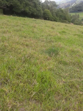 Imagem [Vendo Sítio em Brazópolis] [7 hectares com córrego d'água]