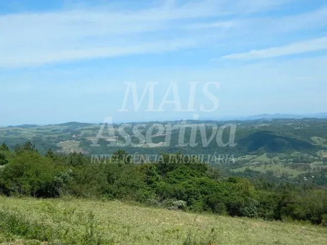 Imagem Excelente sítio para venda localizado no bairro Morungava em Gravataí/RS