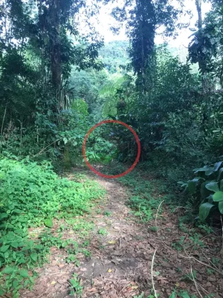 Imagem LOTE DE TERRENO EM BOISSUCANGA , DENTRO DE LOTEAMENTO COM CASAS JÁ CONSTRUIDAS. LOTE COM 725m²