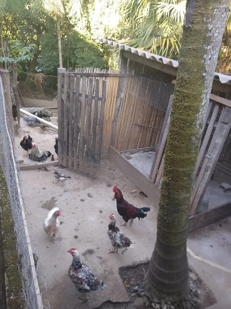 Foto do imóvel Chácara à venda 4 Quartos, 55000M², Bom Sucesso, Pindamonhangaba - SP