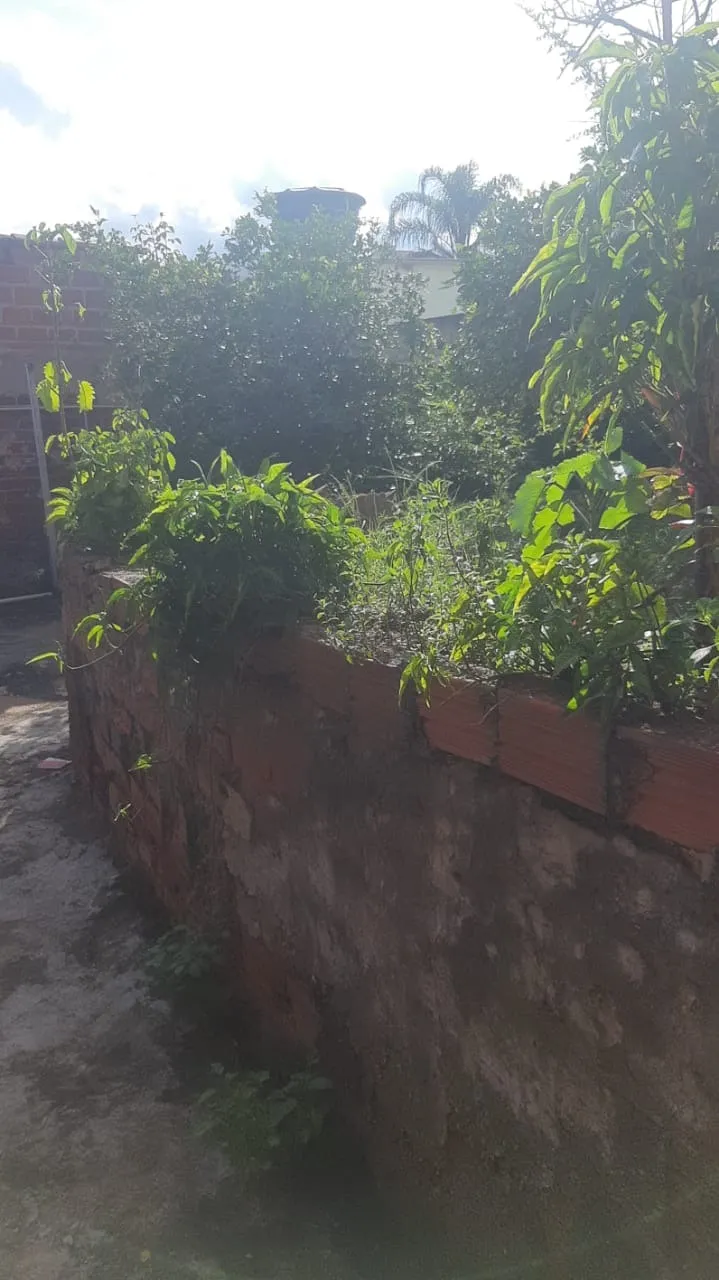 Imagem Casa Comercial à Venda em Votorantim-SP - 3 Quartos, 1 Sala, 1 Banheiro, 1 Vaga de Garagem - Imperdível!