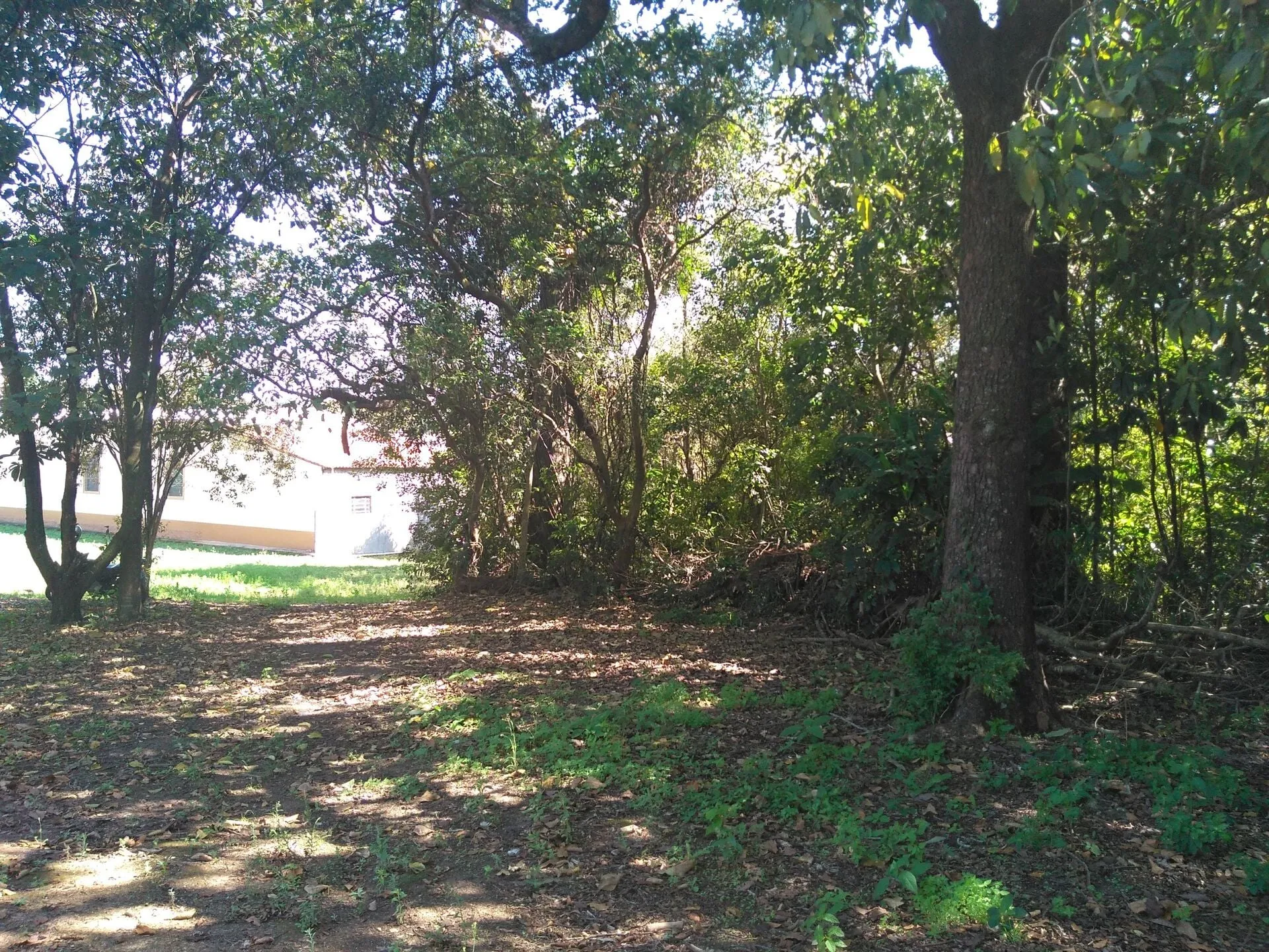Imagem Chacara-para-Venda-em-Mirandas-Tatui-SP