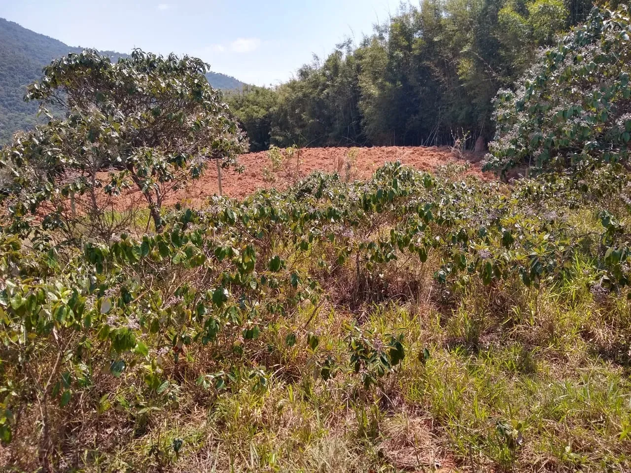 Imagem Chácara à venda 25000M², Mandú, Pindamonhangaba - SP