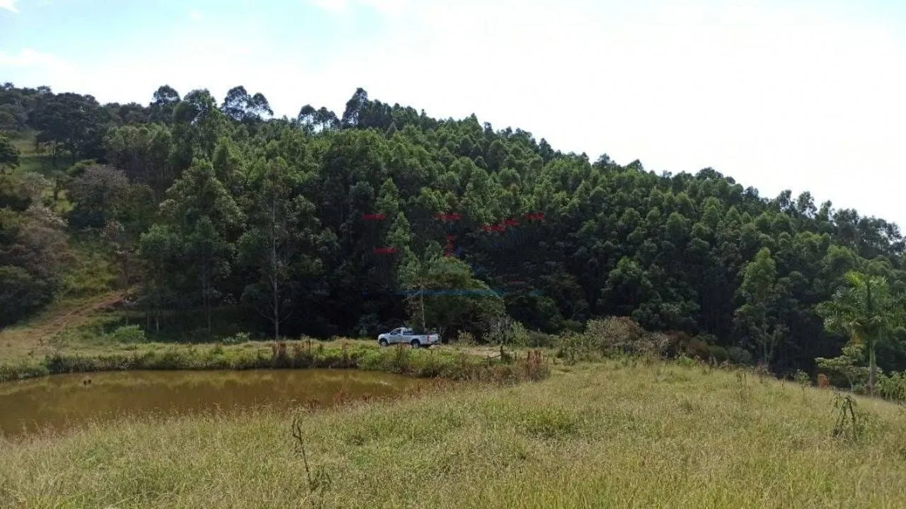 Imagem Chácara à venda 3 Quartos, 3 Suites, 4 Vagas, 290400M², Zona Rural, Paraisópolis - MG