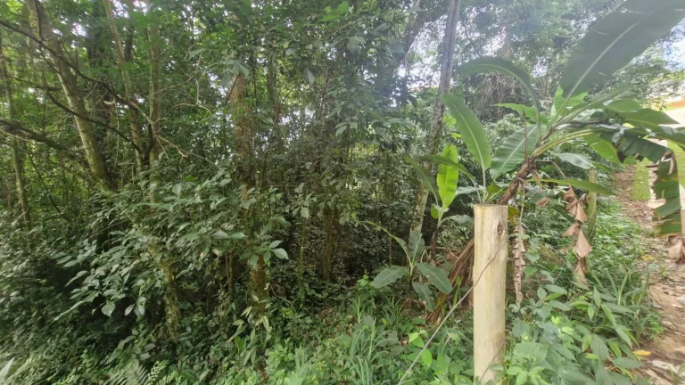Imagem Terreno à Venda no Bairro Macacu - Garopaba/SC