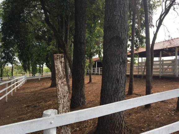 Imagem Haras - Fazenda Barra Seca