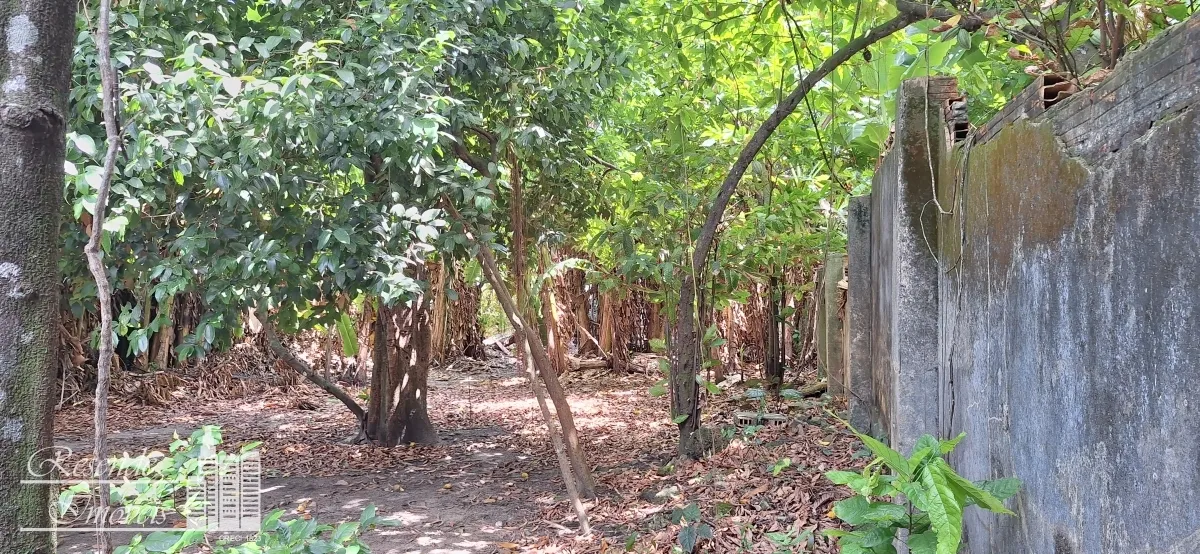 Imagem CASA 5 DORMITÓRIOS À VENDA EM UMARIZAL, BELÉM/PA