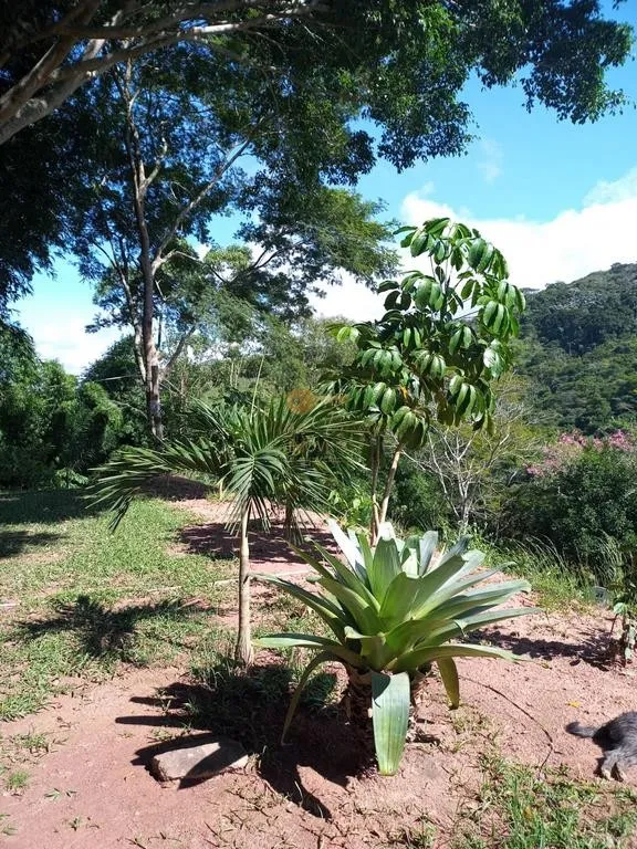 Imagem Terreno para Venda em Petrópolis / RJ no bairro Posse