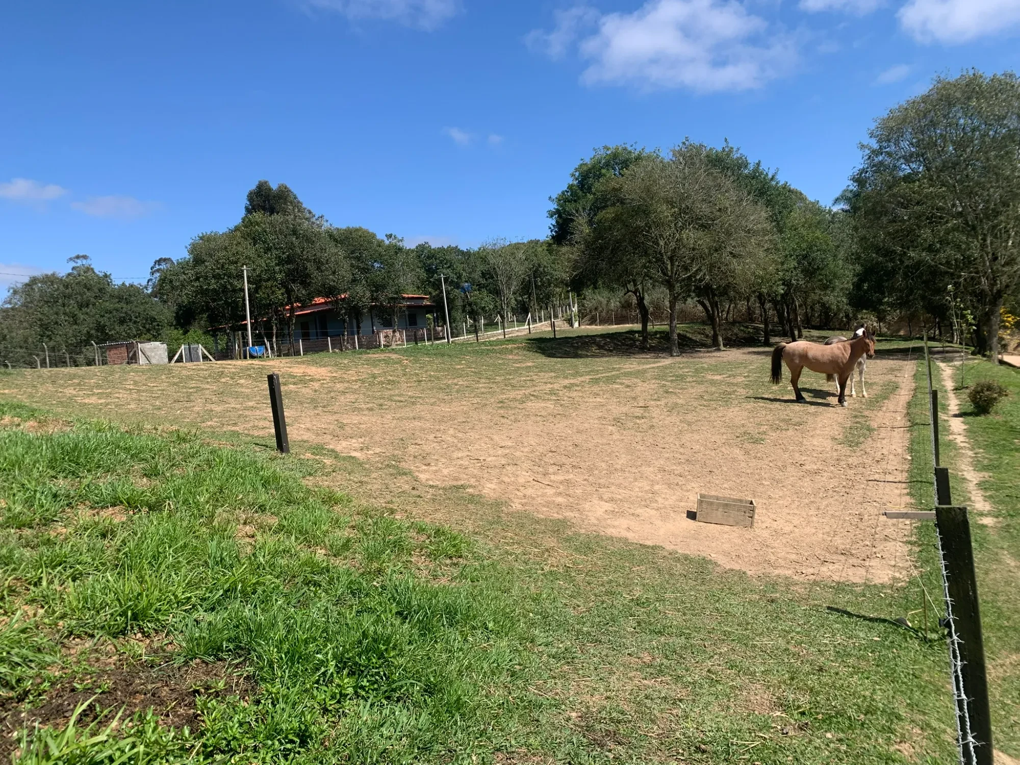 Imagem Chácara com 3 Quartos à Venda, 5000 m² em Colonia Marcelino - São José dos Pinhais