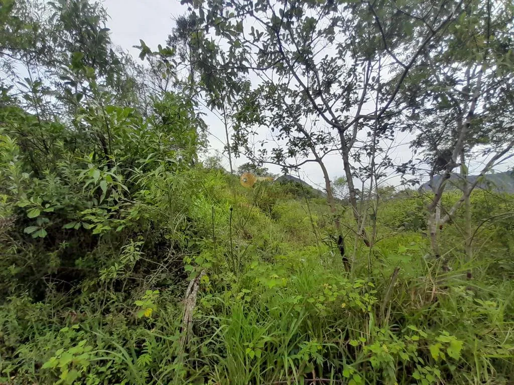 Imagem Terreno para Venda em Teresópolis / RJ no bairro Colônia Alpina