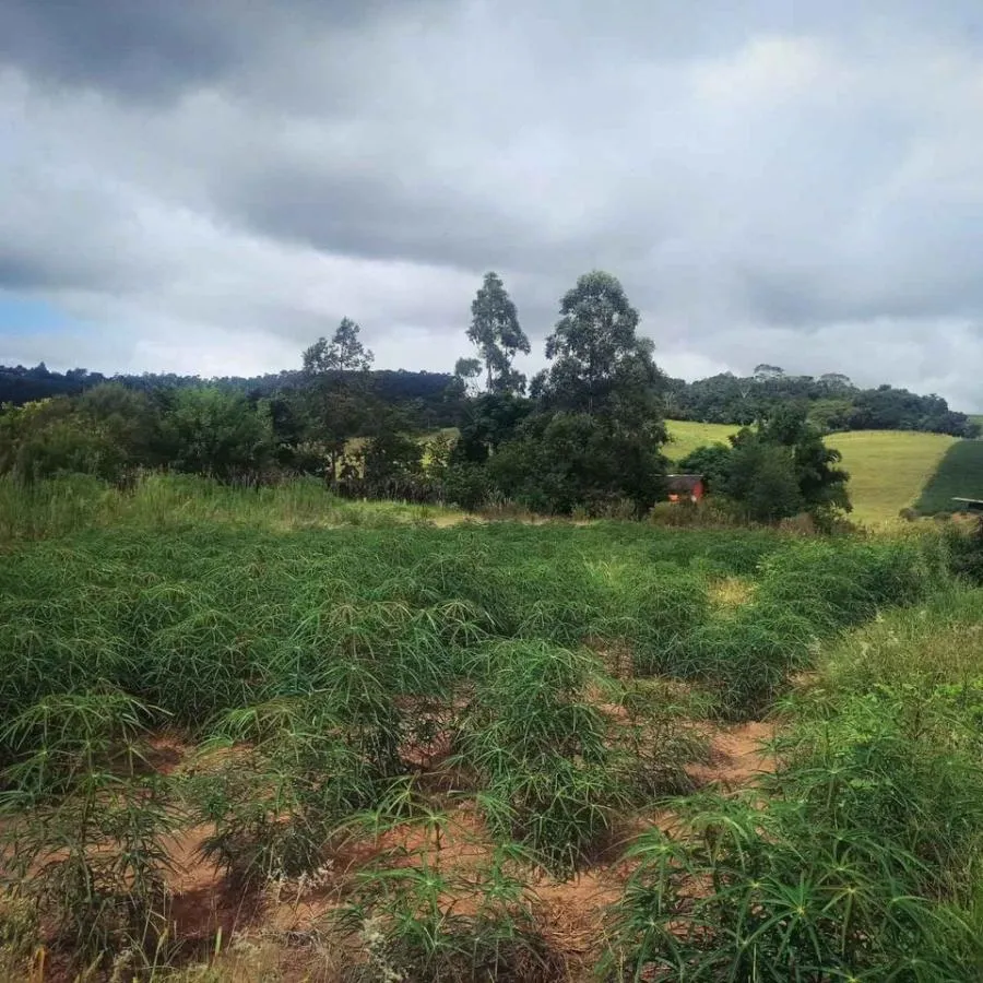 Imagem Chácara para Venda em Novo Hamburgo / RS no bairro Lomba Grande