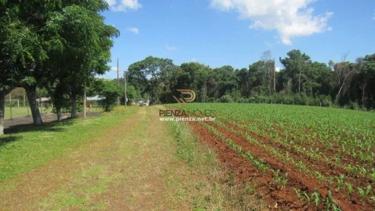 Imagem Área para Loteamento para Venda em Concórdia, São Cristóvão