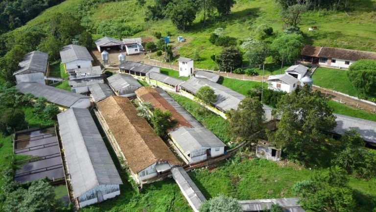 Granja para Venda em Irani, Rural em Br-153