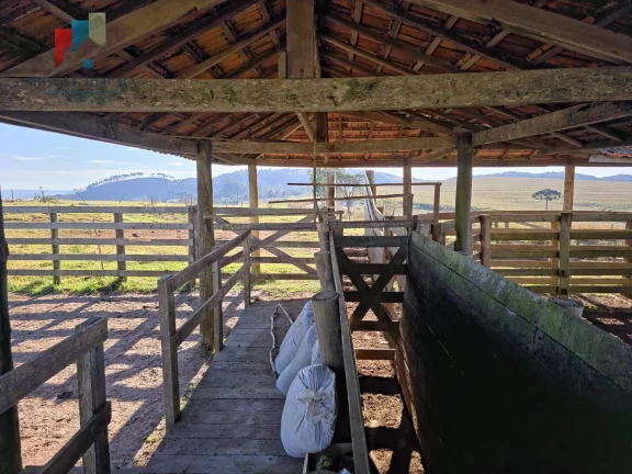Imagem Fazenda a venda Capão Bonito SP