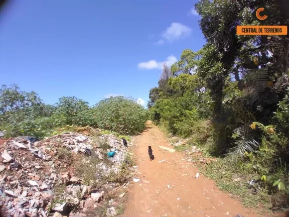 Imagem TERRENO EM MUSSURUNGA
