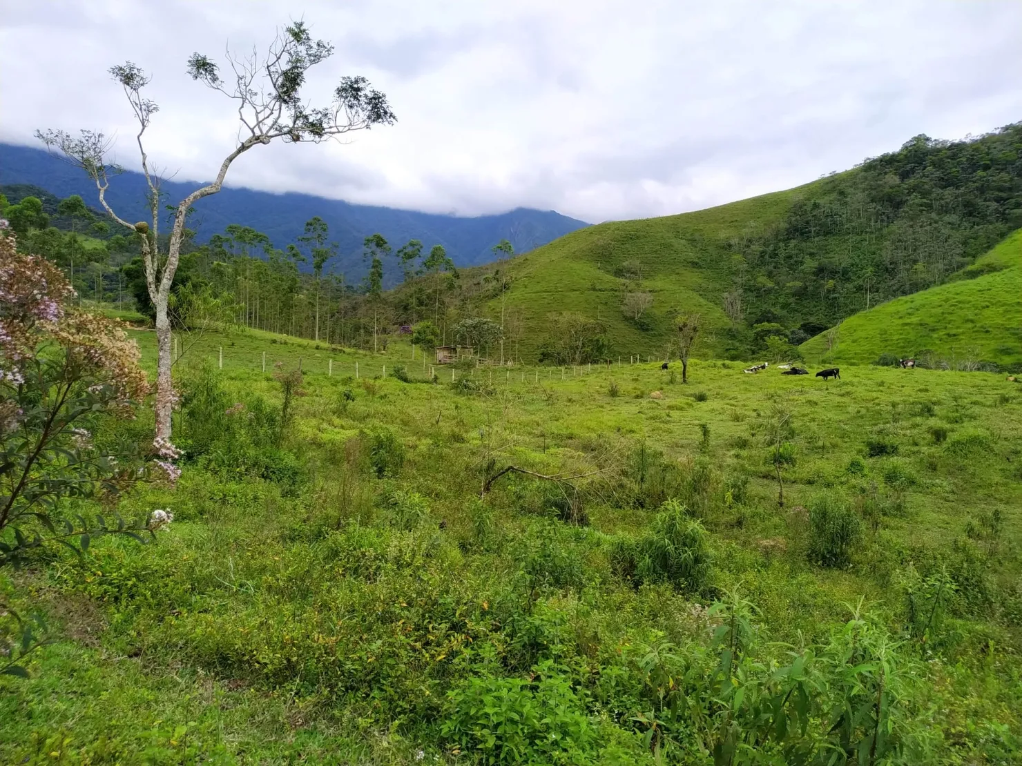 Imagem Chácara à venda 76000M², Ribeirão Grande, Pindamonhangaba - SP