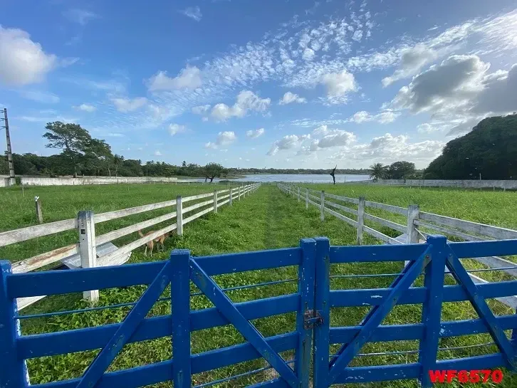 Imagem Sítio à Venda, 28.000 m² em Aquiraz - Aquiraz