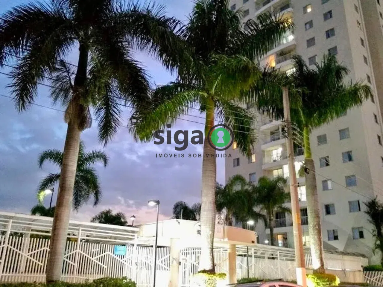 Imagem Apartamento de 3 dormitórios e 2 vagas à venda na Vila Cruzeiro Caravelas
