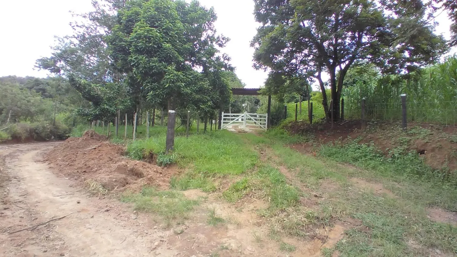 Imagem Vendo um ótimo sítio em Itaguara/Mg com 78.000 m² de terra,
