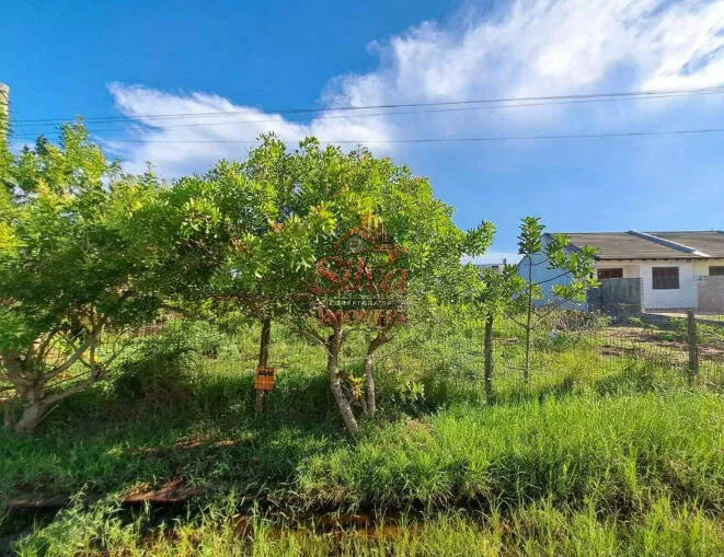 Imagem T779 | Terreno de Esquina 825m² em Santa Terezinha