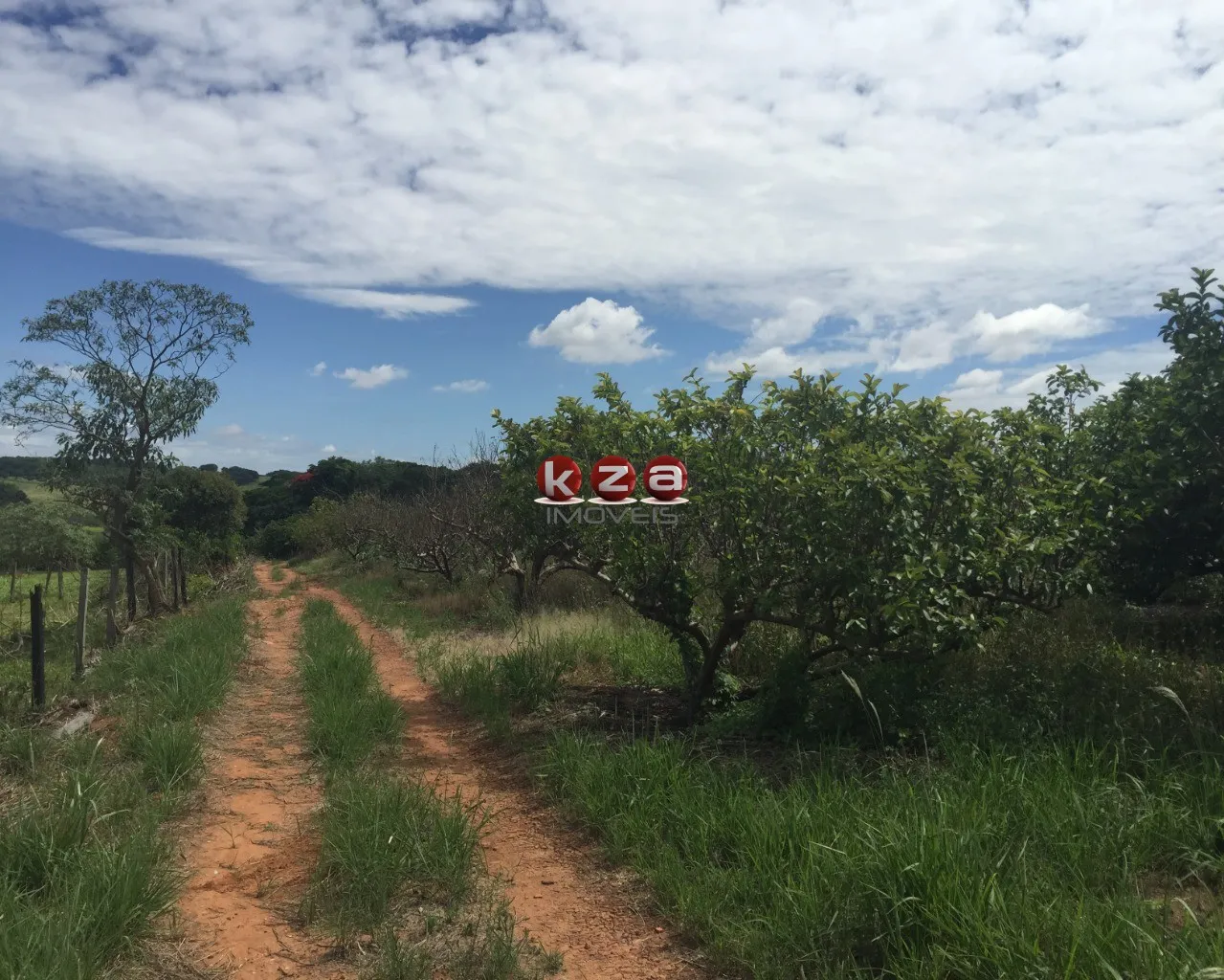 Imagem Sitio à venda em Valinhos-SP: 3 quartos, 1 sala, 2 banheiros, 46.000m² de área no bairro Macuco!