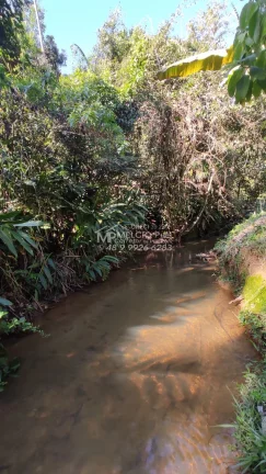 Imagem VENHA CONHECER O PARAÍSO NOVA TRENTINO! SÍTIO RECANDO DA ESPERANÇA Você está em busca de um refúgio tranquilo, próximo à natureza