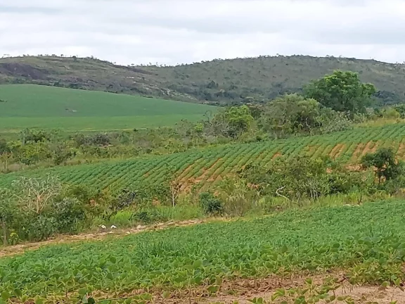 Imagem Incrível Fazenda Oliveira MG 280 hectares!