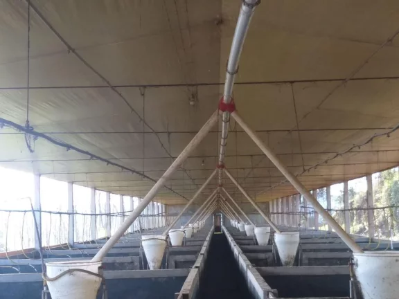 Imagem Área Agrícola para Venda em Concórdia, Interior