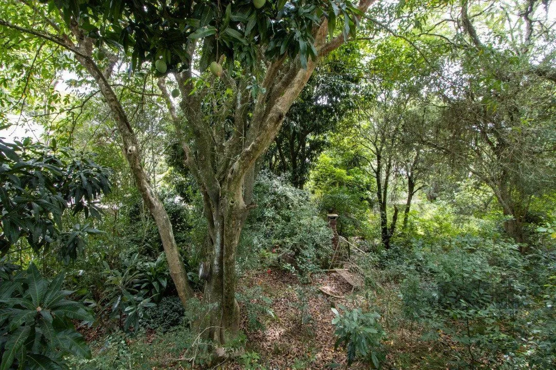 Imagem Terreno, 363.78 m², em Vila Conceição, em região elevada e livre de inundações