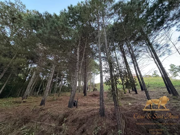 Imagem Belo lote a venda em oportunidade em Campos do Jordão-SP
