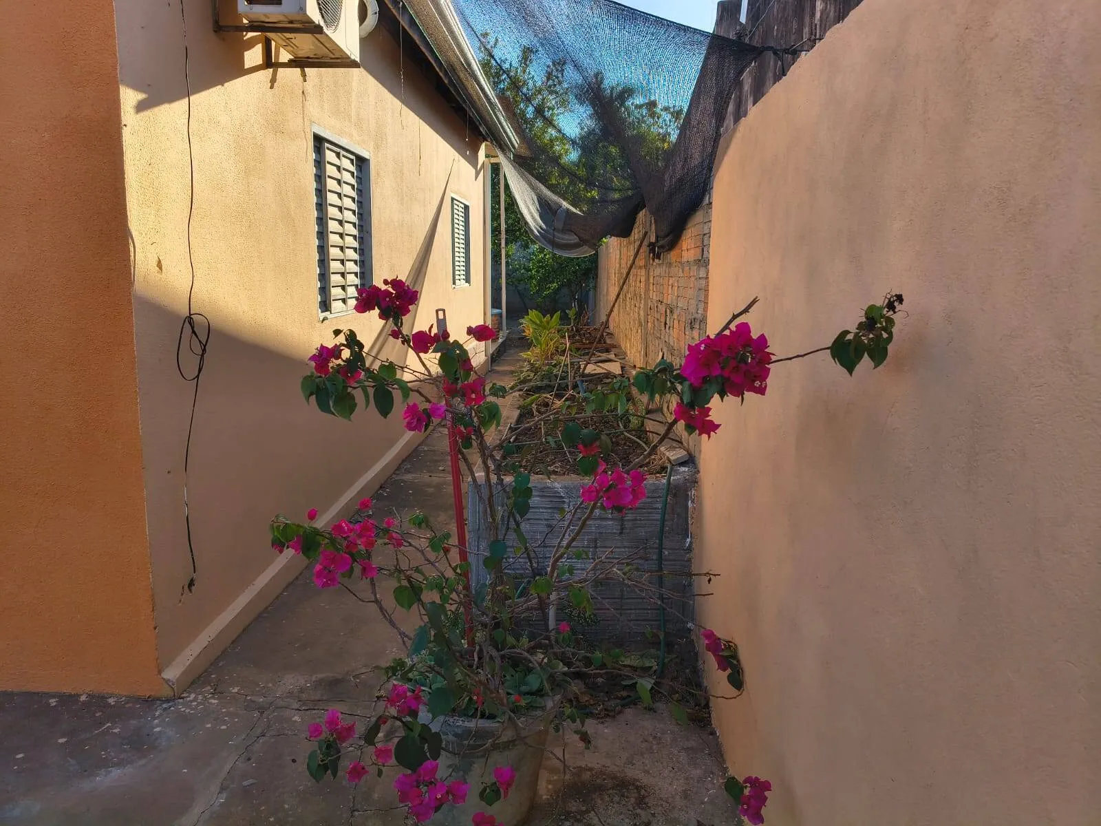 Imagem Casa 2 quartos Bairro Real Parque